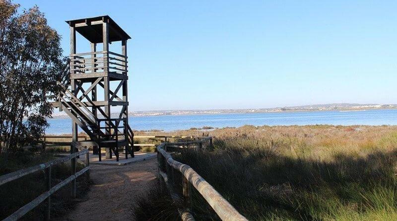 Apartamento Vistas La Mata Playa Екстериор снимка